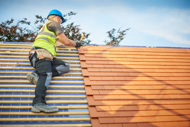 Best Roof Coating and Sealing  in Lone Pine, CA